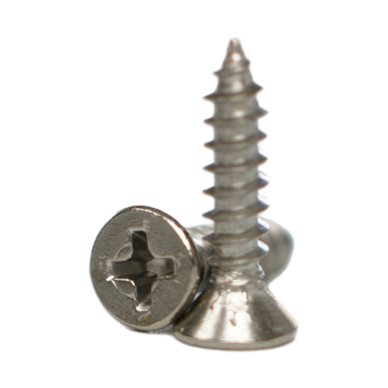 مسامير ذاتية التنصت برأس SUS410 CSK